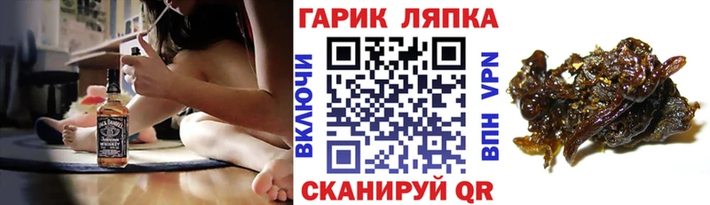 ГАШ 40% ТГК  Гвардейск 